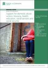 Support for domestic abuse victims: Housing, health, education, social services and social security: (Briefing Paper Number 9124)